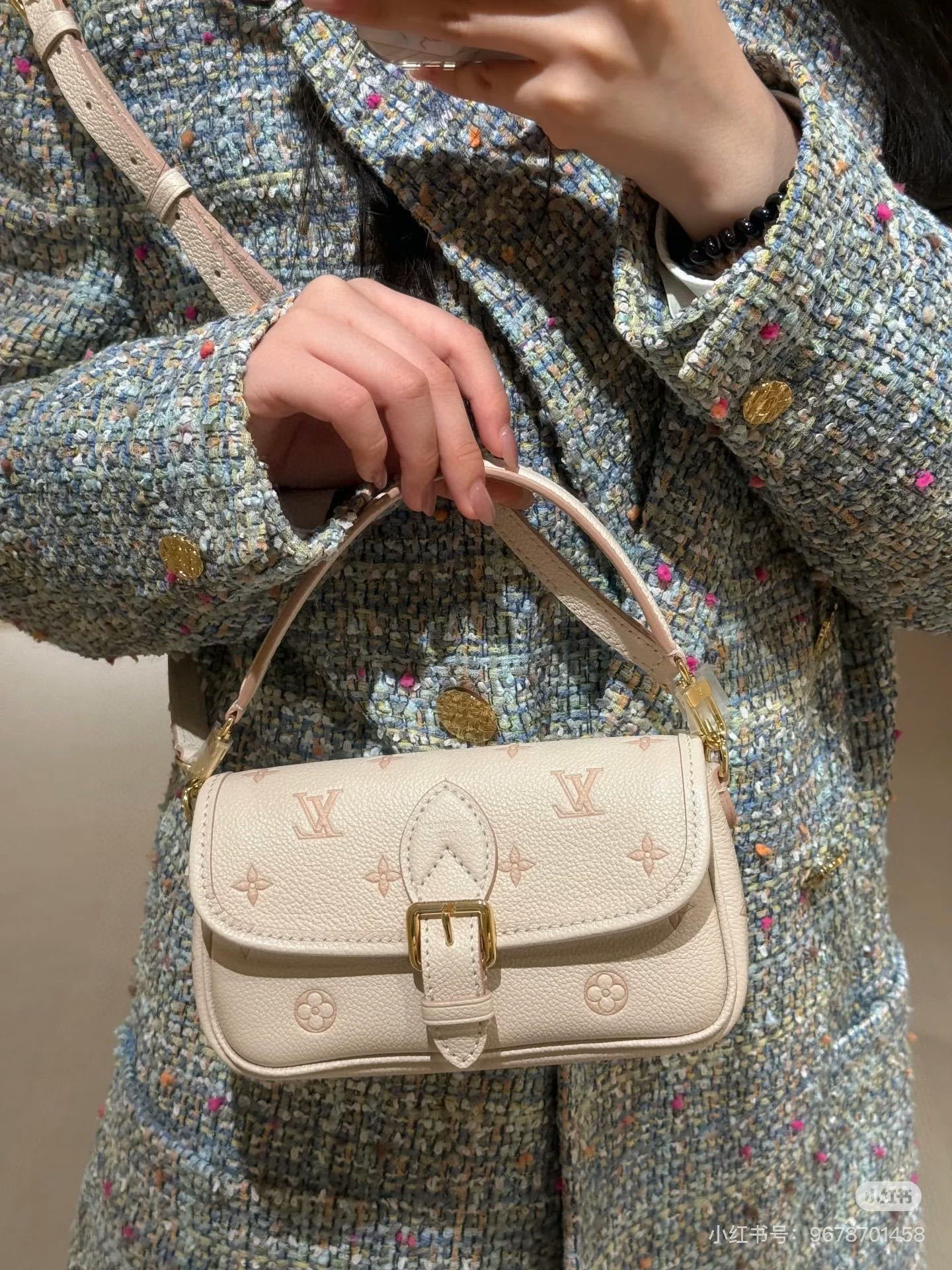Louis Vuitton Bag BG868017