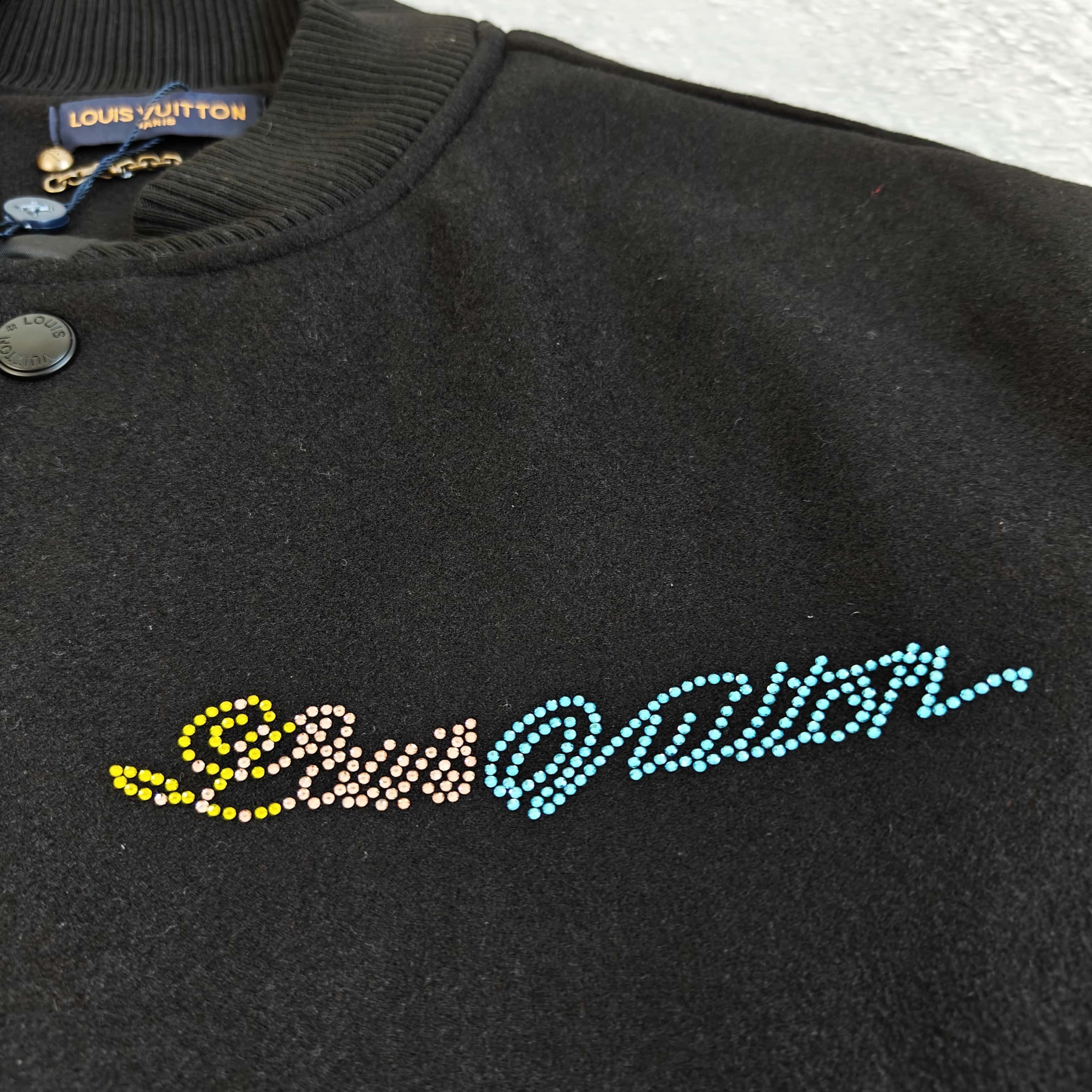 Louis Vuitton Jacket 528858 ZN
