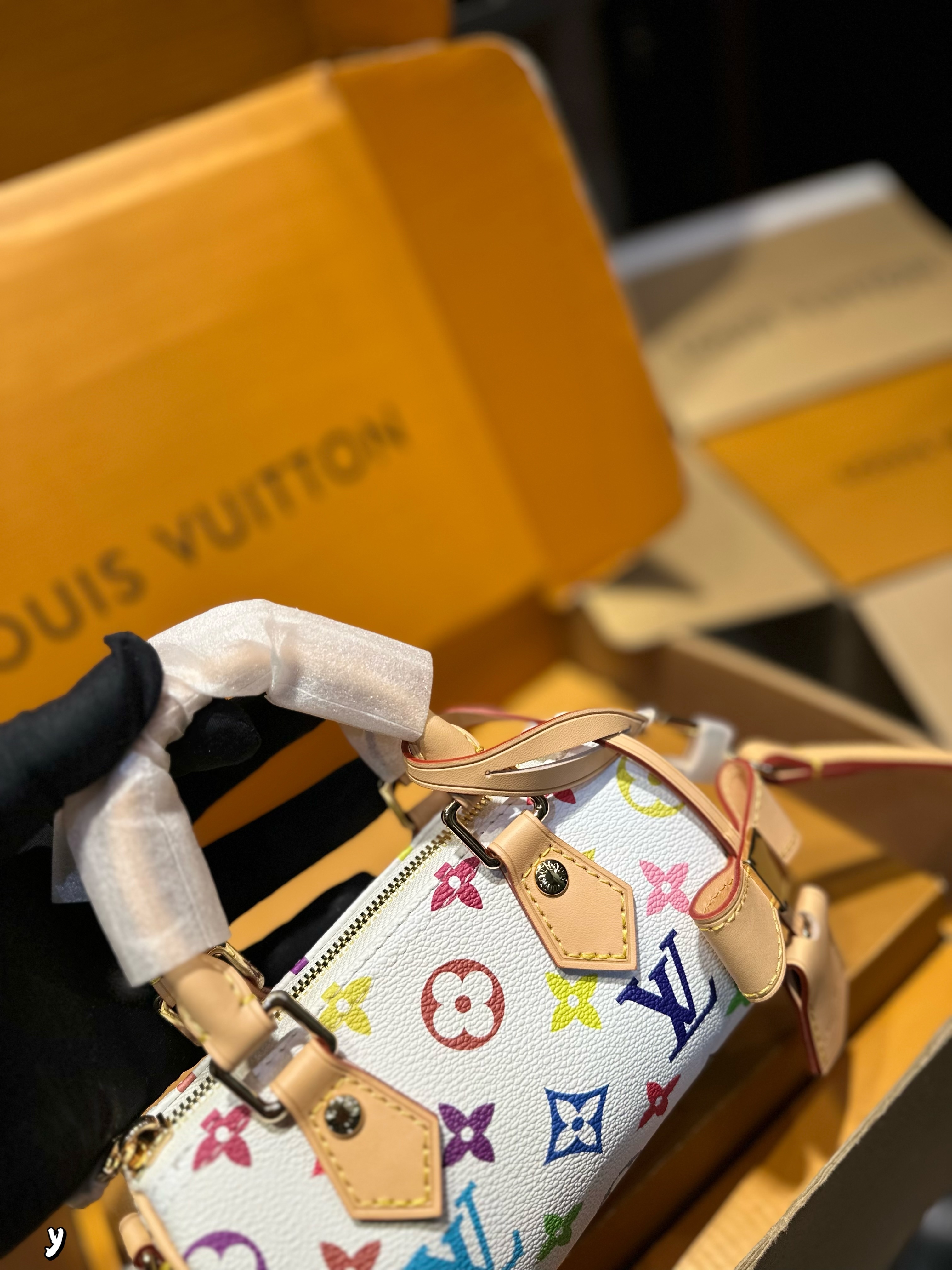 Louis Vuitton Bag BG868007