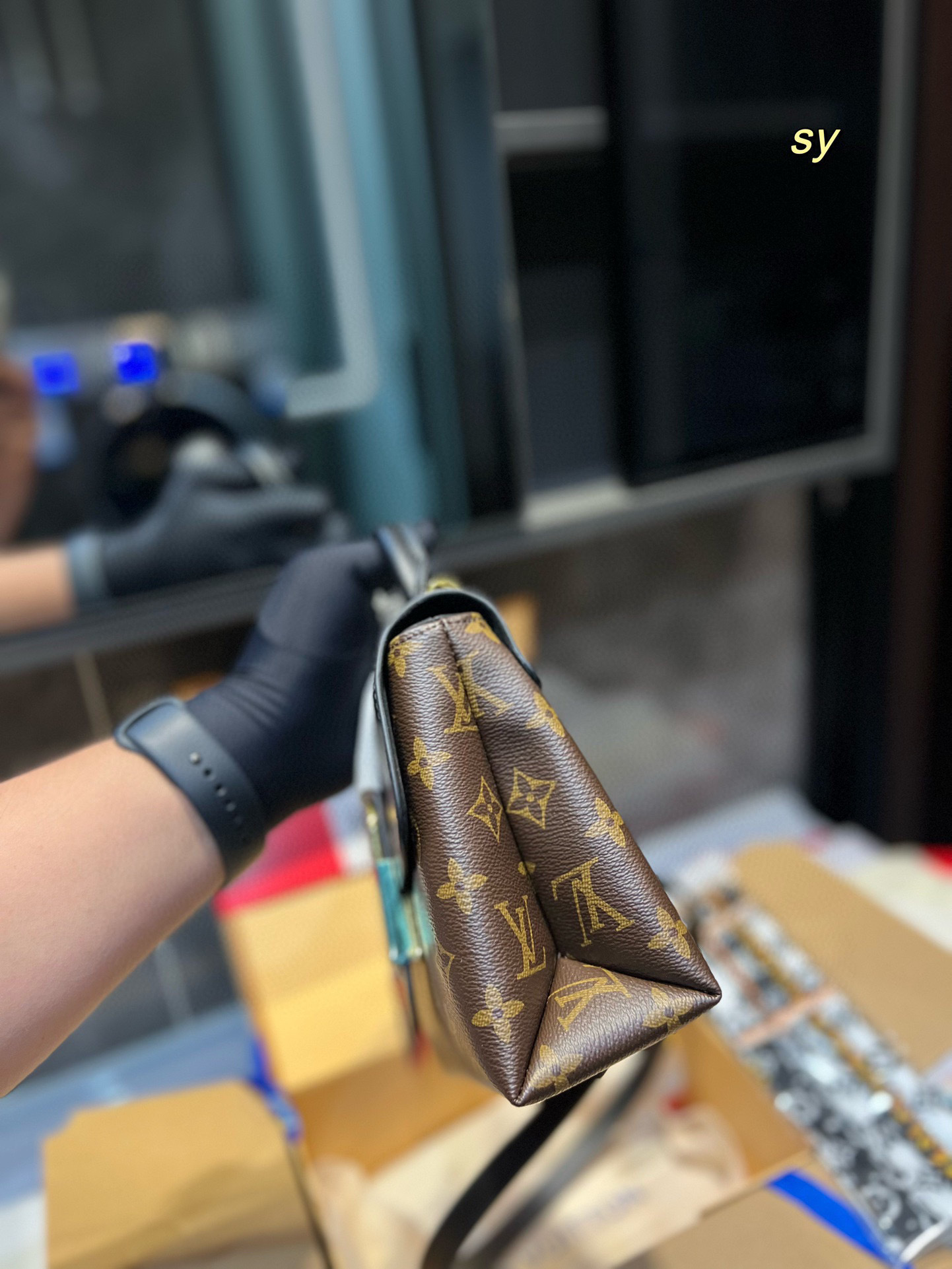 Louis Vuitton Bag BG868005
