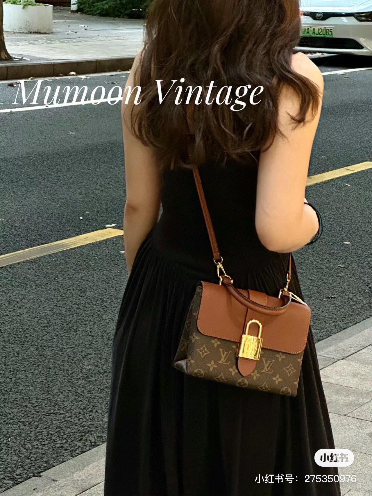 Louis Vuitton Bag BG868005