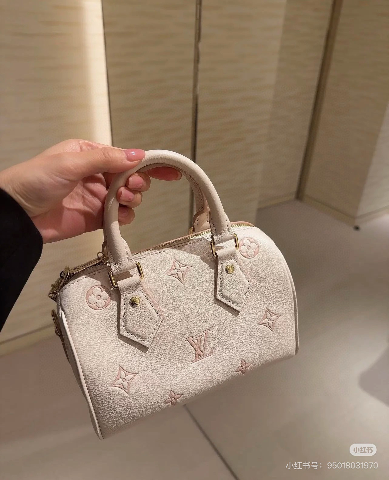Louis Vuitton Bag BG868020