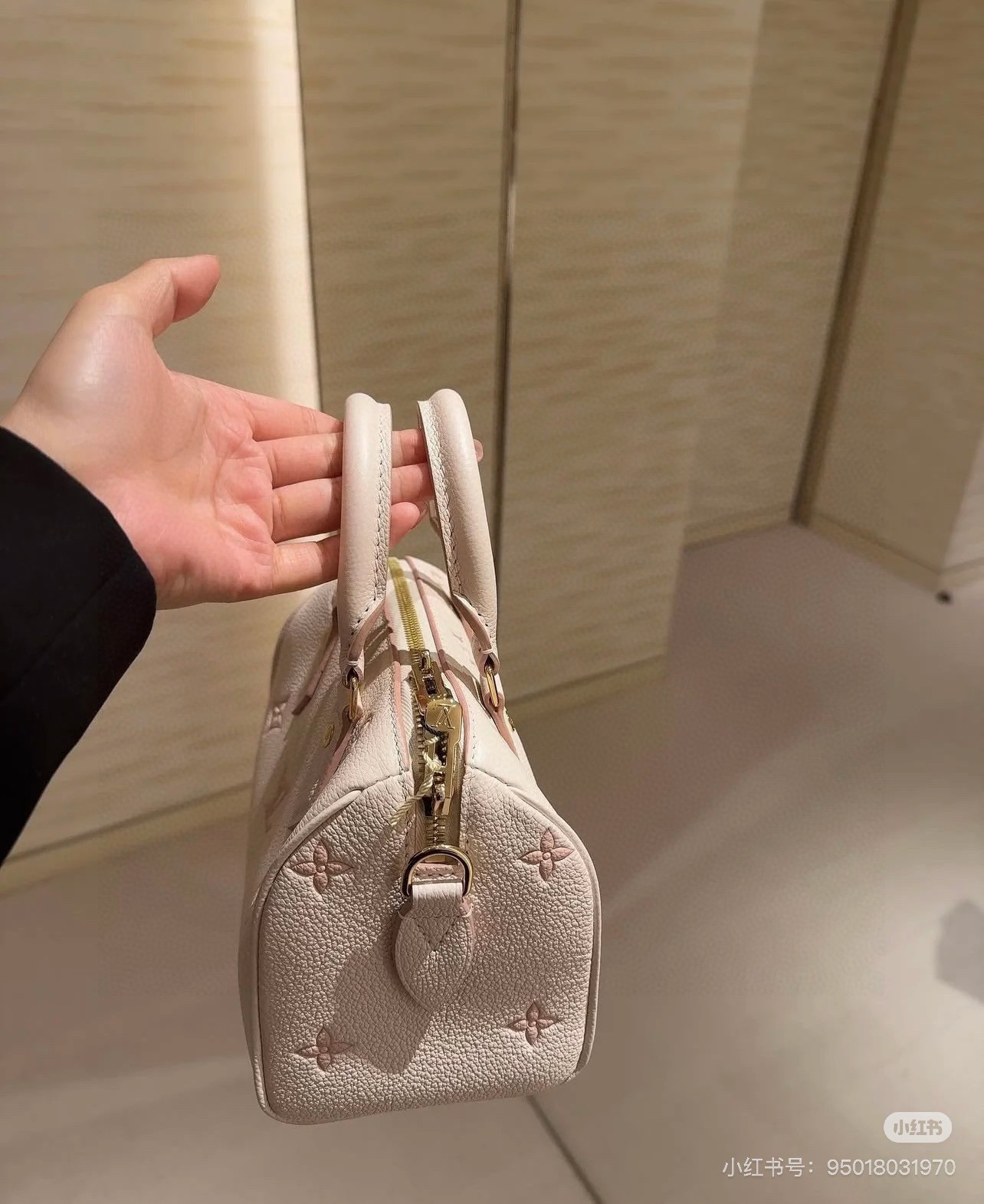 Louis Vuitton Bag BG868020